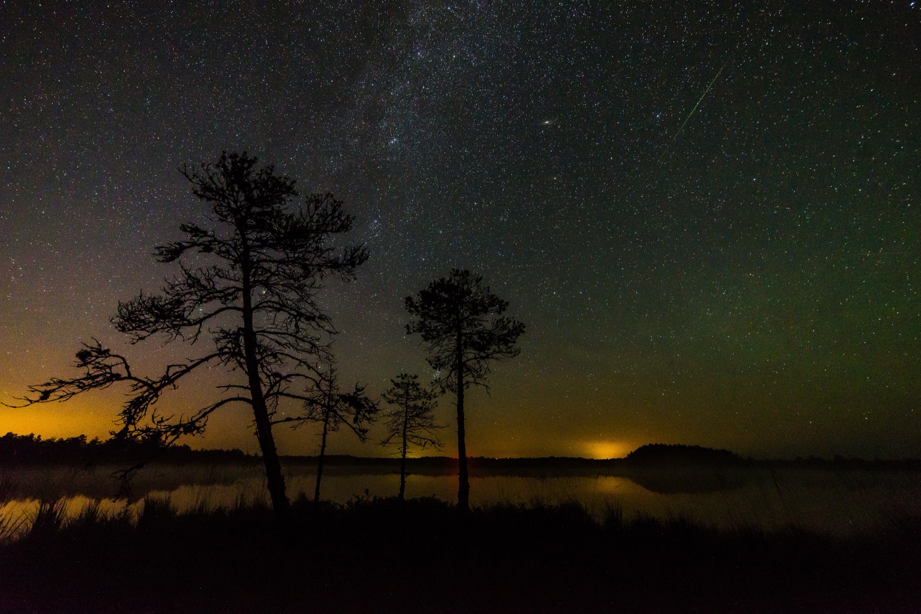 The Milky Way and a Perseid meteor over a dark bog