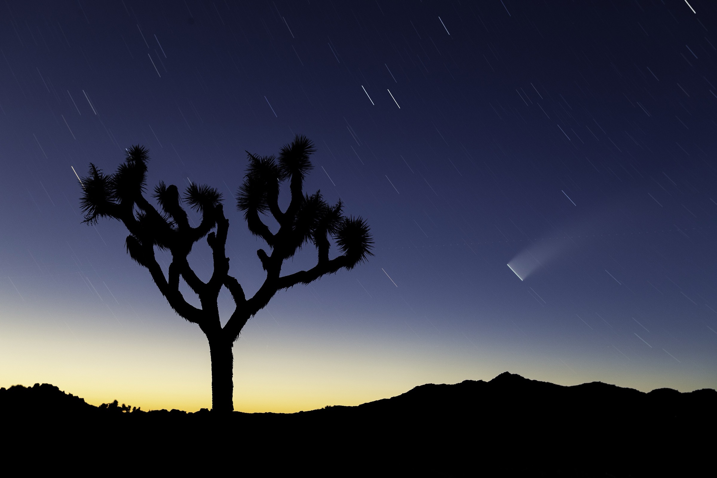 Star trails wheeling above the mountains through the night